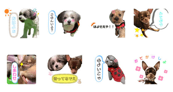 佐々木家のワンコたち Lineクリエイターズスタンプ Stamplist 佐々木家のワンコたち Lineクリエイターズスタンプ Stamplist