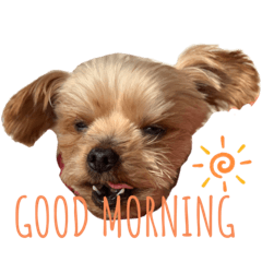 suzu's_20210511172356