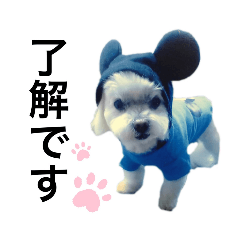 sayuri_20210511143036