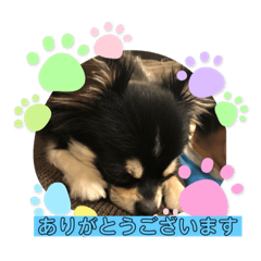 cocoa_20210511104134