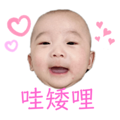 旭寶表情包2