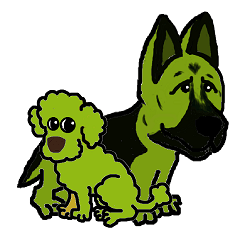 German Shepherd & Toy Poodle's daylife