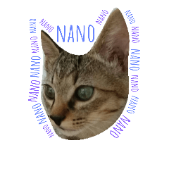 my name is nano