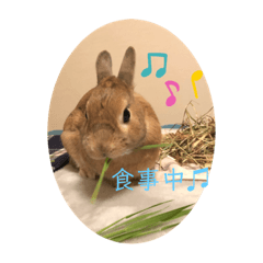 hana_20210512090533