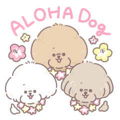 Aloha dogs!