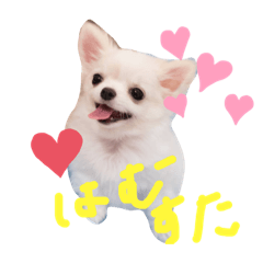 rei_20210511193856