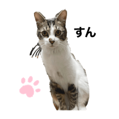 MIZUKI_20210511220523