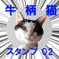 Bicolor cat sticker (series 02)