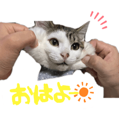 rina_19990208