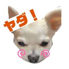 Nanami_20210512081239