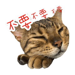 餒餒的日常用語