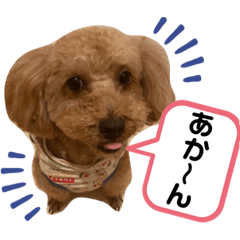 naho_20210511214654