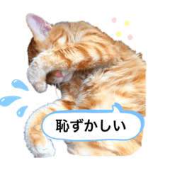 yuuko_20210512113220