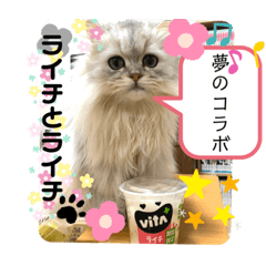 Omochi_20210511222918