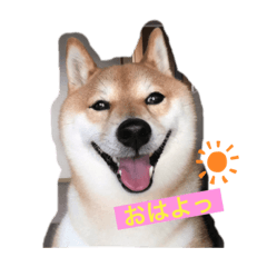 risa_20210512