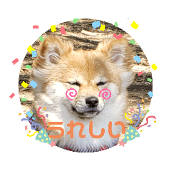 mimi_20210512125912