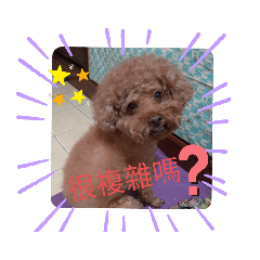 李QQ日常語