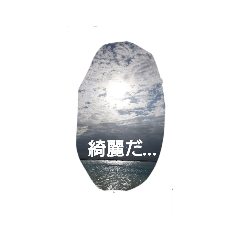 orange_20210512102311