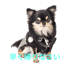 rei_20210512165322