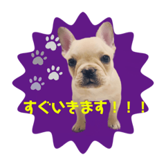 suzu_20210512165021