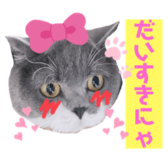 OMOCHI_20210512172324
