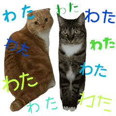 きなことあんこ4 Line スタンプ Line Store