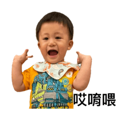 開心果寶