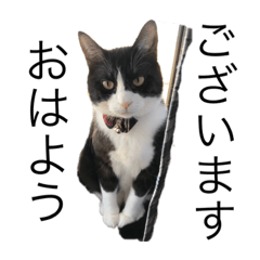 saori_20210512155418