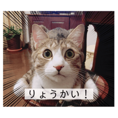 chisa_20210512145852