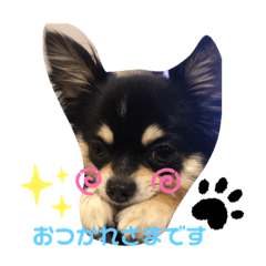 cocoa_20210512205448