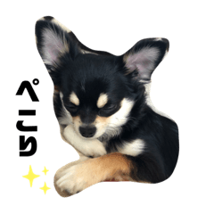 cocoa_20210512215811