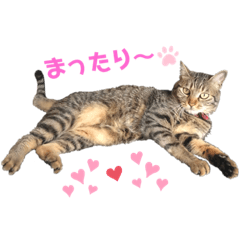 yuka_20210512225107