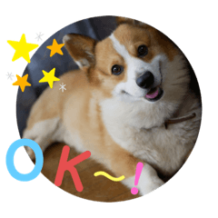 ayumi_20210512231551