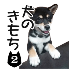 INU no kimochi 2 dog