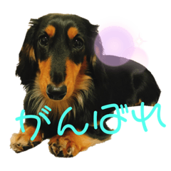 RiNa_20210513050959 - Stiker LINE | LINE STORE