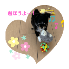 himawari_20210513074425