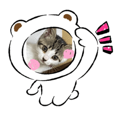mimi_20210512215738
