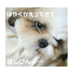 kuu_20210512222842