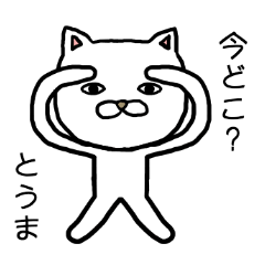 Touma cat