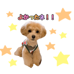 Ayumi_20210513124236