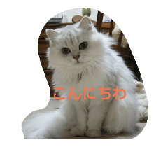 Peachanfamily1