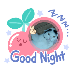 michiko_20210512152212