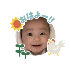 shunbaby