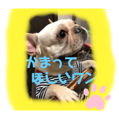 junko_20210512171343