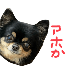 nanami_20210513150831