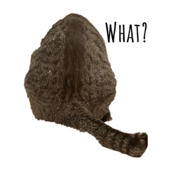 YingYing_20210513083323