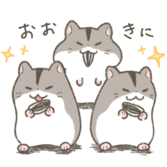 Hamsters from Kansai