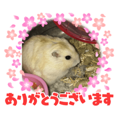 miko2021.5
