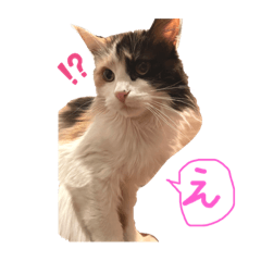 ukides