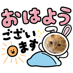 asuka_20210513192901 Andy's daily life